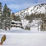Bigwood 13
